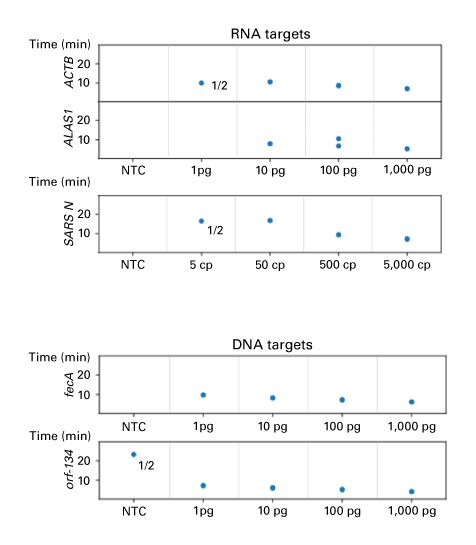 BcaBEST Isothermal FluorDetect Kit (DNA/RNA) achieved rapid detection of DNA and RNA samples