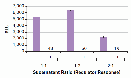 Effects of supernatant ratios on retrovirus-mediated tetracycline inducible expression