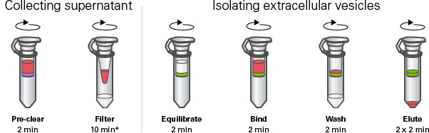 Capturem Extracellular Vesicle Isolation Kit (Mini) workflow