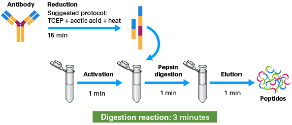 Capturem Pepsin workflow
