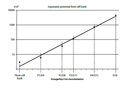 Expansion potential of a characterized working bank of human induced pluripotent stem (iPS) cells in the Cellartis DEF-CS Culture System