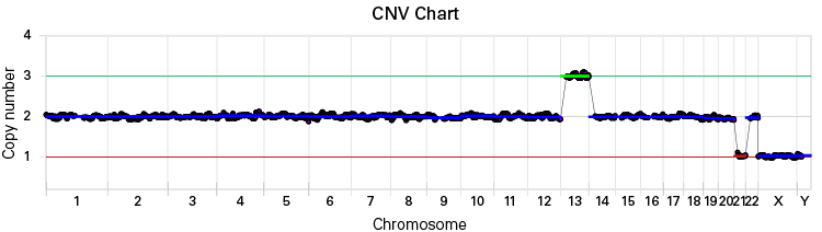CNV plot from trophectoderm (TE) biopsy sample showing aneuploidy on chromosomes 13 and 21.