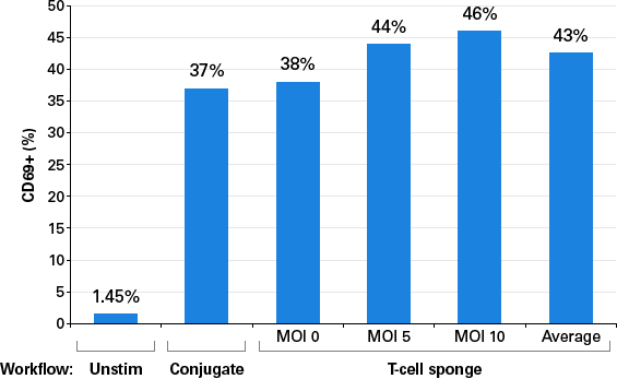 Efficient T-cell activation across a range of MOI values