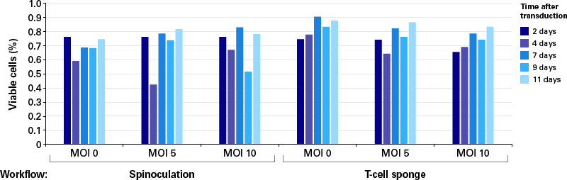 High viability of human primary T cells after transduction