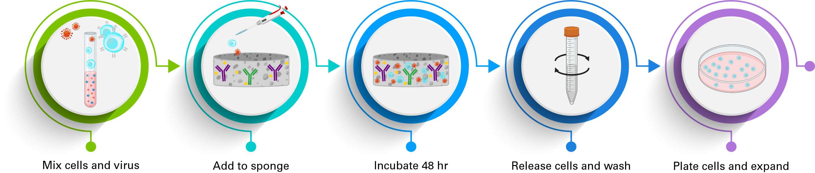 Lenti-X T-Cell Transduction Sponge workflow