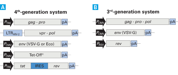 A comparison of fourth- and third-generation lentiviral packaging systems