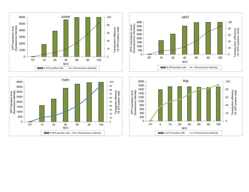 Achieve 100% transduction efficiency even in cell types that are typically hard to infect