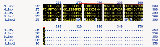 Amino acid alignment of the C-terminal regions of several Emx1 homologs