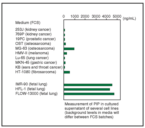 Measurement of PIP in cultured supernatant of several cell lines (background levels in media will differ between FCS batches)