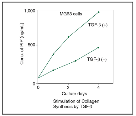 Experimental Example: Stimulation of Collagen Synthesis by TGF-beta