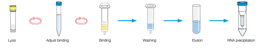 NucleoBond RNA Soil procedure