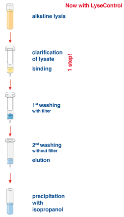 High selectivity and specific characteristics of the optimal silica matrix make this anion exchanger ideal for the purification of very large constructs, such as P1, BACs, and PACs