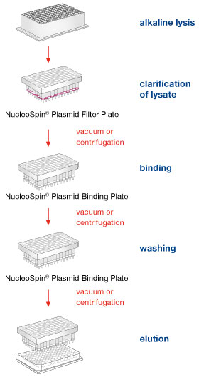 The NucleoSpin Plasmid 96 Transfection-grade procedure