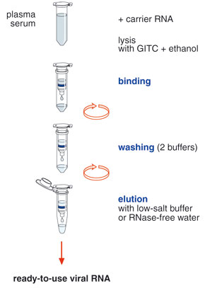 Macherey-Nagel™ Buffer Solutions for NucleoMag™ RNA