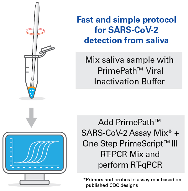 Workflow for PrimePath Direct Saliva SARS-CoV-2 Detection Kit