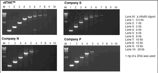 Amplification of Various Size DNA Fragments using e2TAK DNA Polymerase and Three Other Competitors' enzymes