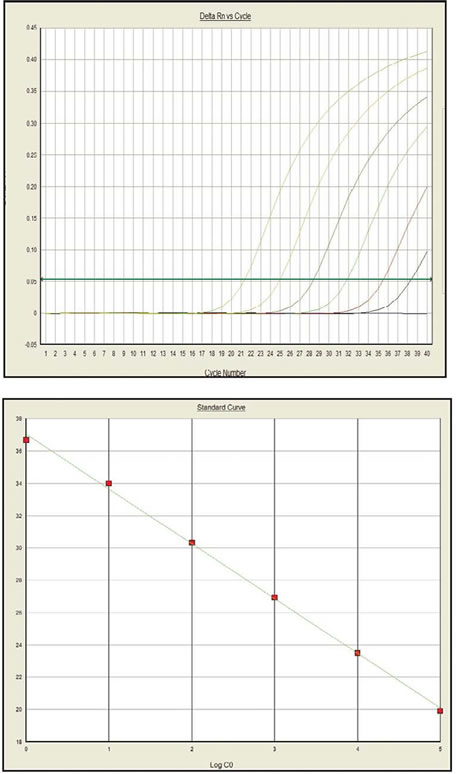 Amplification Curve (top panel) and Standard Curve (bottom) for Premix Ex Taq (Perfect Real Time) using the TaqMan Gene Expression Assay on the Applied Biosystems 7500 Real-Time PCR System