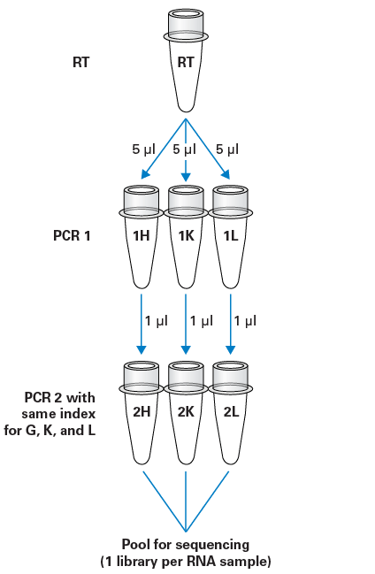 PCR cycling and pooling workflow.