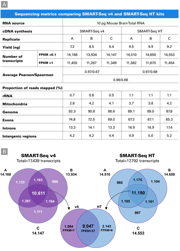 High overlap of transcripts identified with SMART-seq mRNA HT (equivalent replacment for the SMART-Seq HT Kit) and SMART-Seq mRNA (equivalent replacment for SMART-Seq v4)