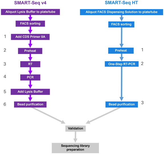 Comparison of the SMART-Seq mRNA HT (equivalent replacement for the SMART-Seq HT Kit) and SMART-Seq mRNA (equivalent replacement for SMART-Seq v4) workflows