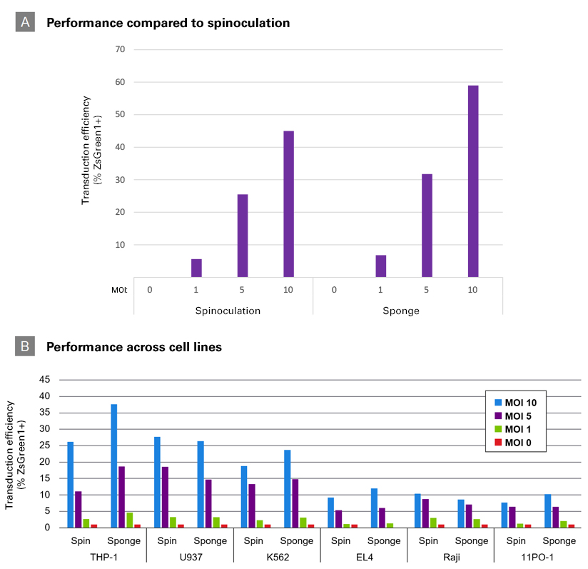 Transduction efficiency compared to spinoculation