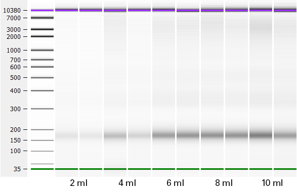 Efficient cfDNA recovery regardless of input volume