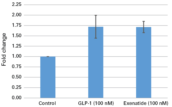 Cellartis hiPS Beta Cells (from ChiPSC12) were exposed to incretin (100 nM GLP-1 or 100 nM exenatide) for 45 min in 5.5 mM glucose.