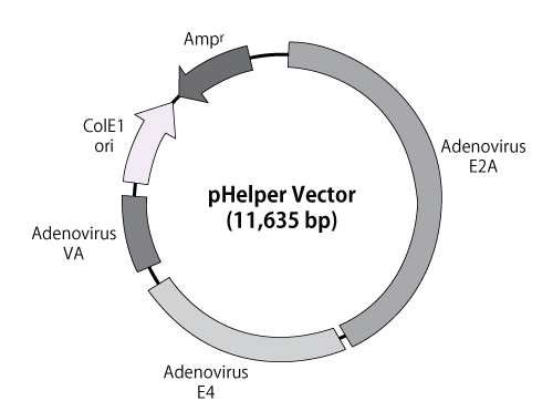 pHelper vector map