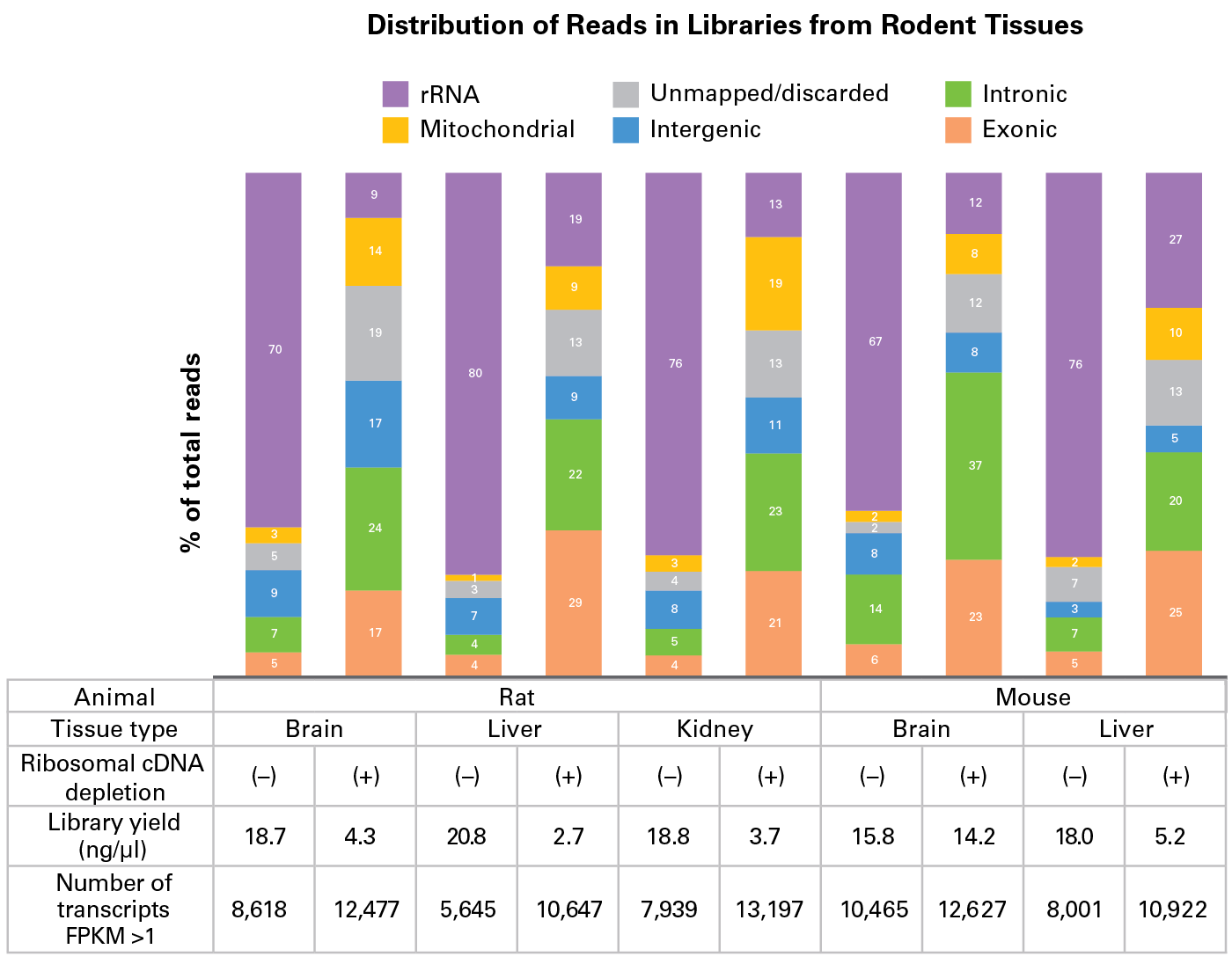 Improved exon mapping and transcript identification from rodent tissues