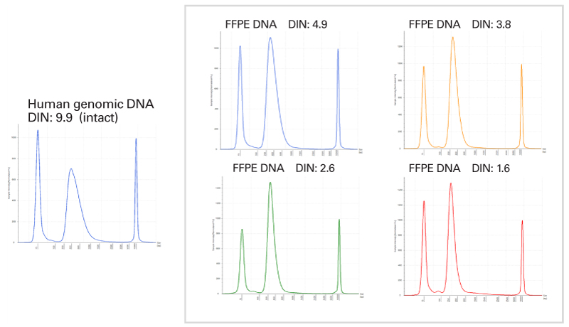 High-quality libraries prepared from human gDNA and FFPE samples
