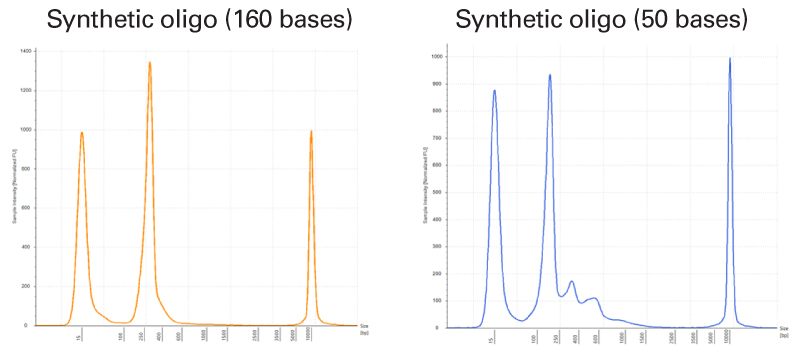 Successful generation of high-quality sequencing library from 50-base ssDNA oligos