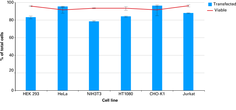 Efficient transfection of microRNA using the Xfect RNA Transfection Reagent